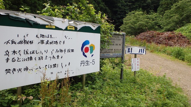 c0097754_11242528.jpg