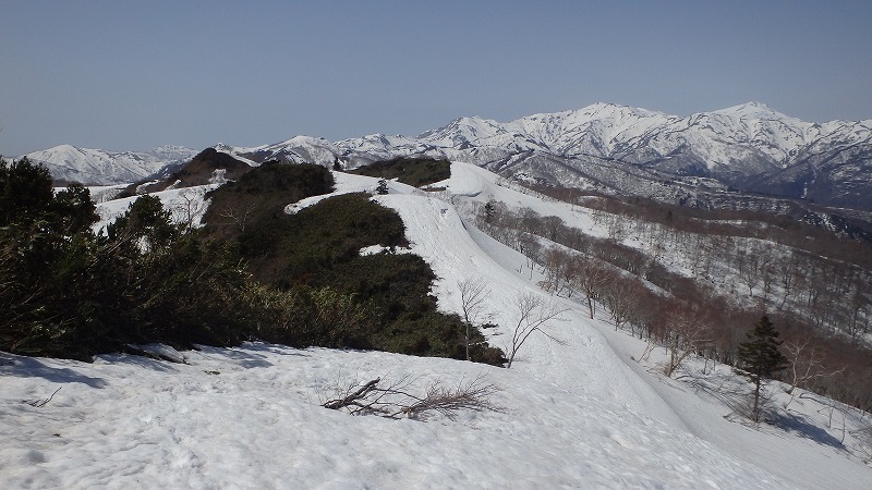 c0097754_17211467.jpg