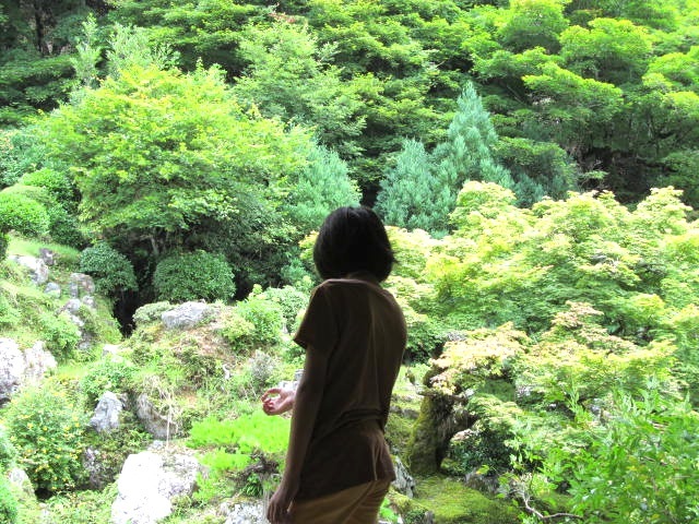 京北の常照皇寺は、光あふれるところでした_f0129557_13295919.jpg