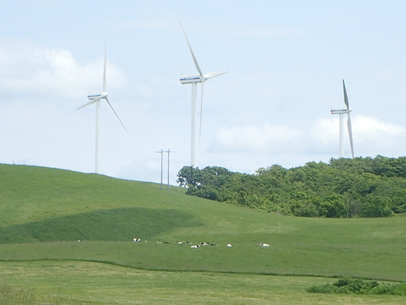 f0350468_13341036.jpg