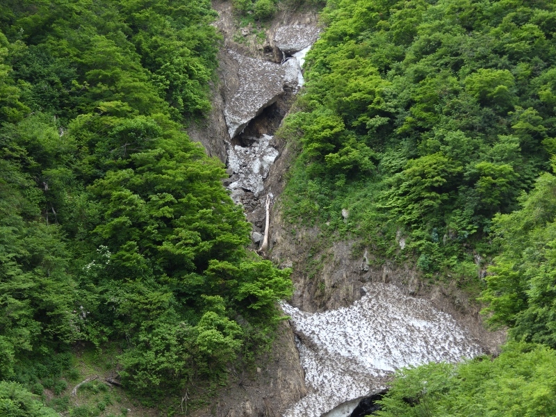 b0311071_13564077.jpg
