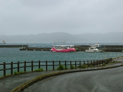 「台風！」_b0033573_12420187.jpg