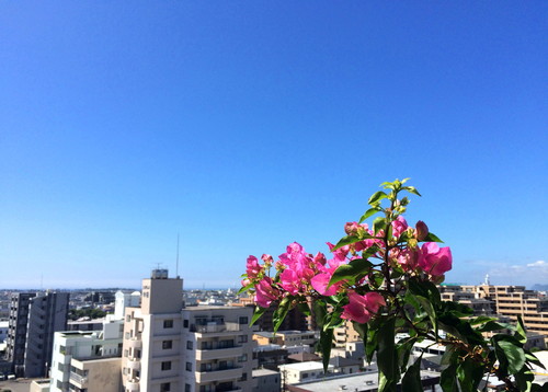 d0116173_10544250.jpg