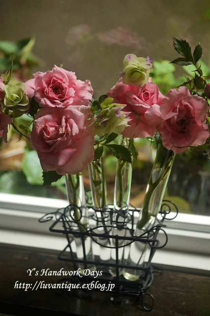 f0330978_09455403.gif