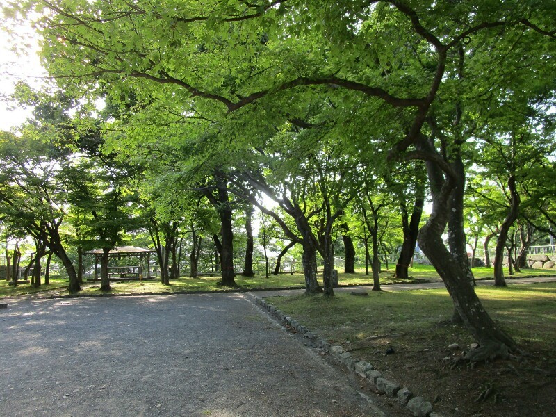 72日目【八戸−盛岡】北緯45度は冬だったけど、40度は真夏でした!_e0201281_20404345.jpg