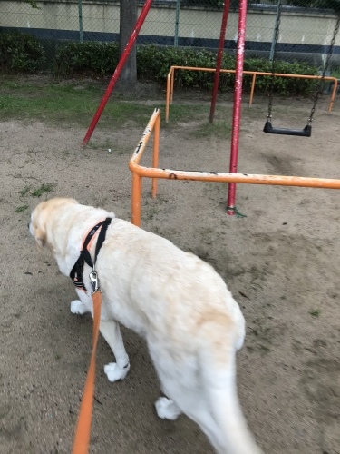 f0315081_23073590.jpeg