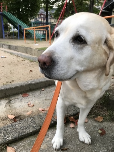 f0315081_23084361.jpeg
