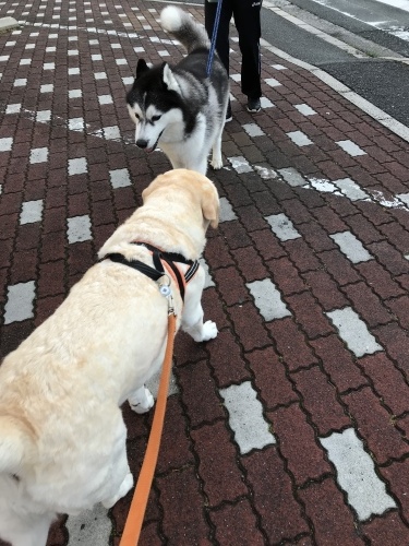 f0315081_23145535.jpeg