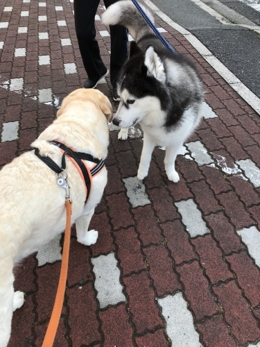 f0315081_23152298.jpeg