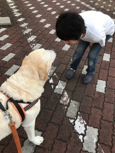 f0315081_23161288.jpeg