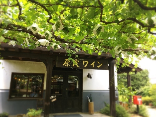 d0348182_12594071.jpeg
