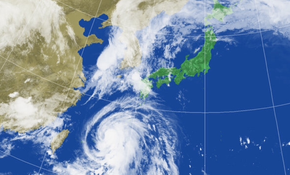 草刈りと蜂の巣_d0195183_02031971.jpeg