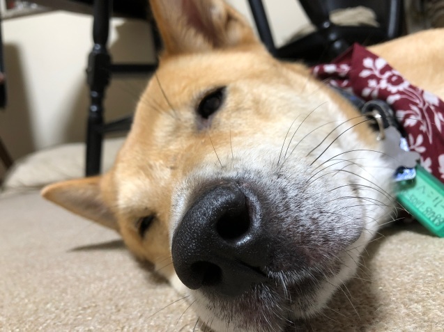 c0332184_21290613.jpeg