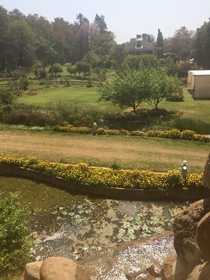 c0338191_01410676.jpg