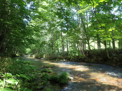 e0241691_18534955.jpg