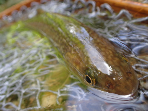 e0241691_21020963.jpg