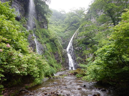 シーズン始めに敗退・・・古平川、下二股川　\'18/6/24_f0297492_10145320.jpg