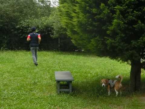 a0319693_6383849.jpg