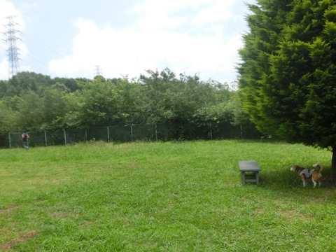 a0319693_6401657.jpg