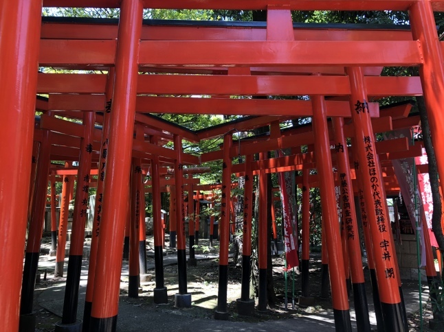 f0019993_00414621.jpeg