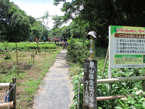 a0166196_1327111.jpg