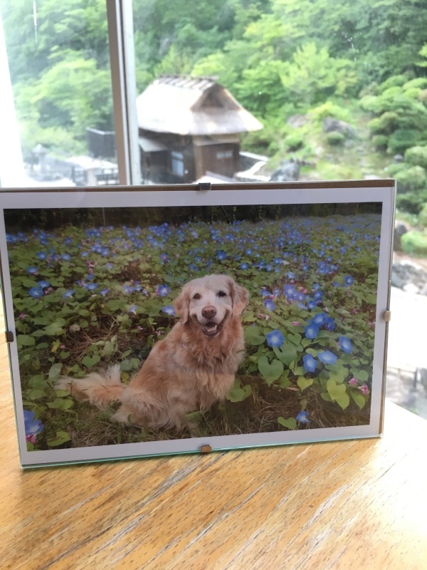 b0275998_16361817.jpeg
