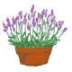 c0090198_16301888.gif