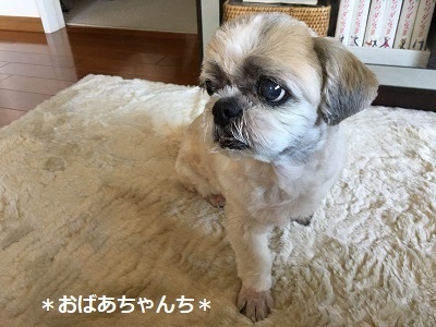 f0372998_18163569.jpg
