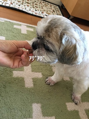 f0372998_18170982.jpg
