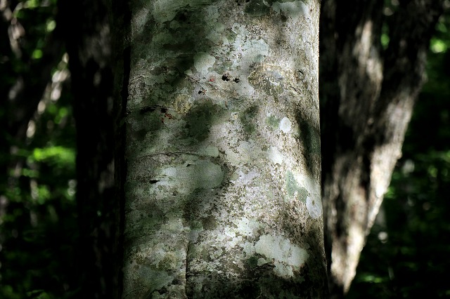 e0137200_21171865.jpg