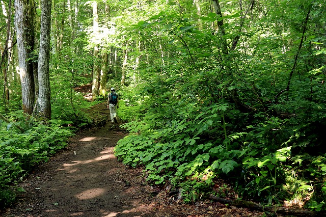 e0137200_2117212.jpg