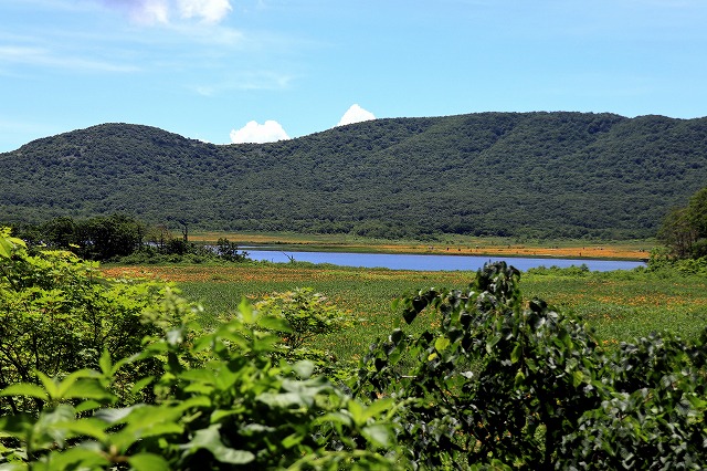 e0137200_21223719.jpg