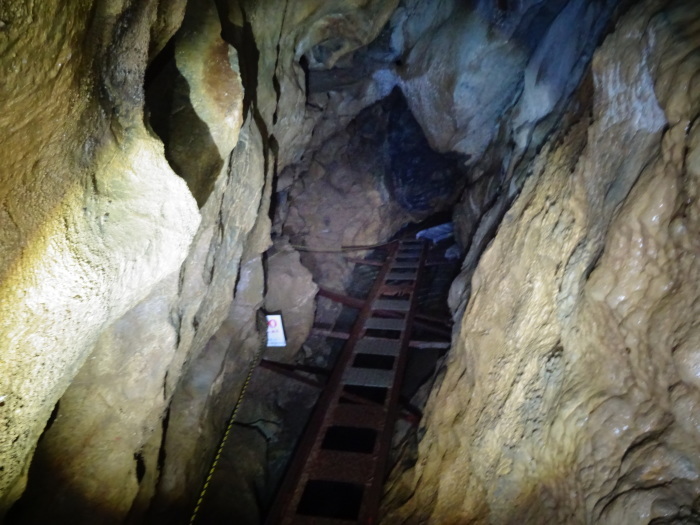 猿田洞（さるたどう）　ここは凄かった　高知県の洞窟探検_b0124306_21124954.jpg