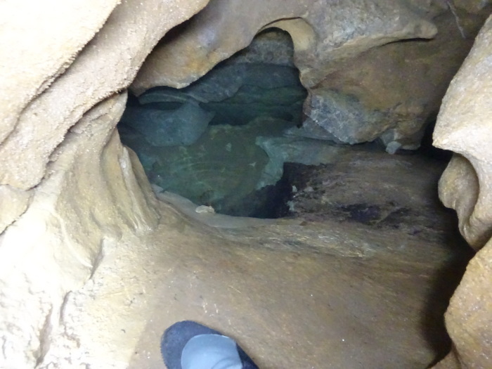 猿田洞（さるたどう）　ここは凄かった　高知県の洞窟探検_b0124306_21492371.jpg