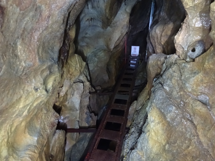 猿田洞（さるたどう）　ここは凄かった　高知県の洞窟探検_b0124306_21545104.jpg