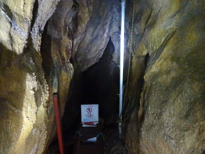 猿田洞（さるたどう）　ここは凄かった　高知県の洞窟探検_b0124306_21575270.jpg