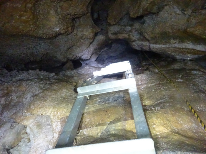 猿田洞（さるたどう）　ここは凄かった　高知県の洞窟探検_b0124306_22025284.jpg