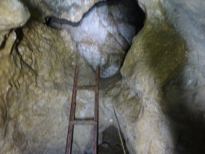 猿田洞（さるたどう）　ここは凄かった　高知県の洞窟探検_b0124306_22080841.jpg