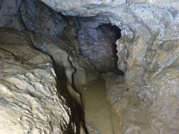 猿田洞（さるたどう）　ここは凄かった　高知県の洞窟探検_b0124306_22320775.jpg