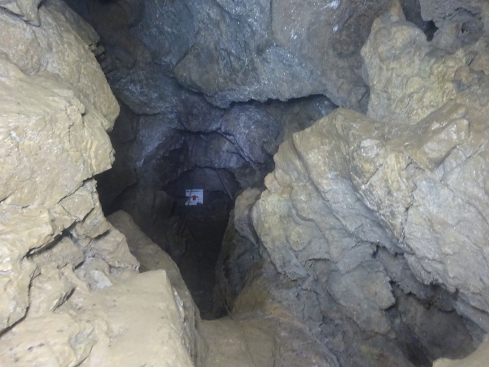 猿田洞（さるたどう）　ここは凄かった　高知県の洞窟探検_b0124306_22411842.jpg
