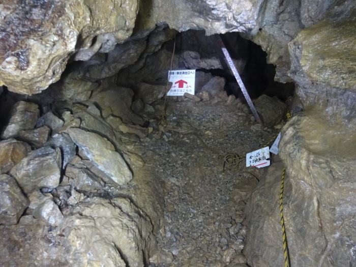 猿田洞（さるたどう）　ここは凄かった　高知県の洞窟探検_b0124306_22421744.jpg