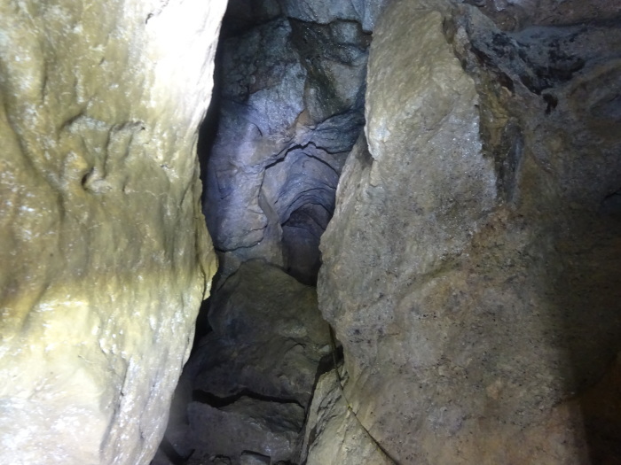 猿田洞（さるたどう）　ここは凄かった　高知県の洞窟探検_b0124306_22542740.jpg