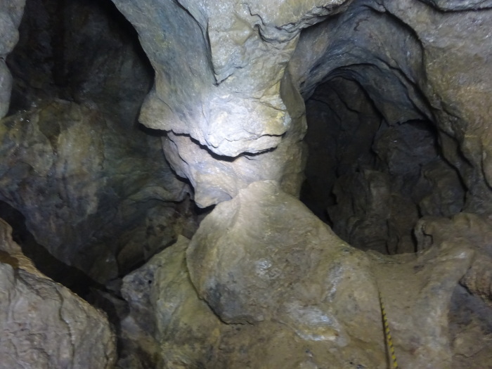 猿田洞（さるたどう）　ここは凄かった　高知県の洞窟探検_b0124306_22551088.jpg