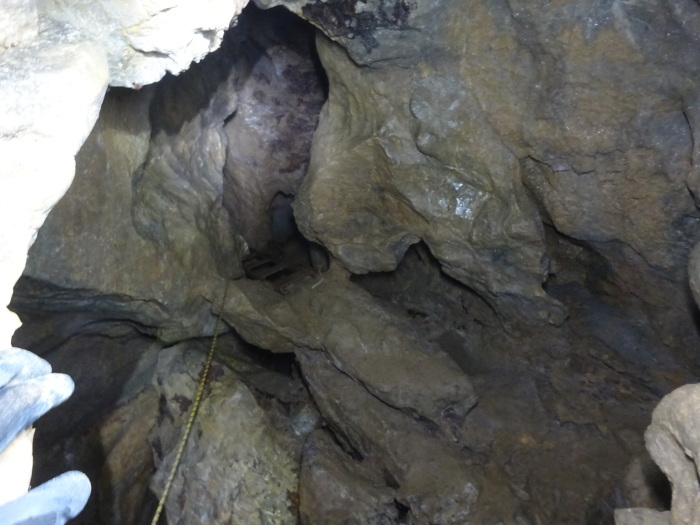 猿田洞（さるたどう）　ここは凄かった　高知県の洞窟探検_b0124306_22564038.jpg