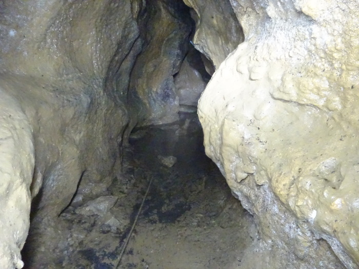 猿田洞（さるたどう）　ここは凄かった　高知県の洞窟探検_b0124306_23063005.jpg