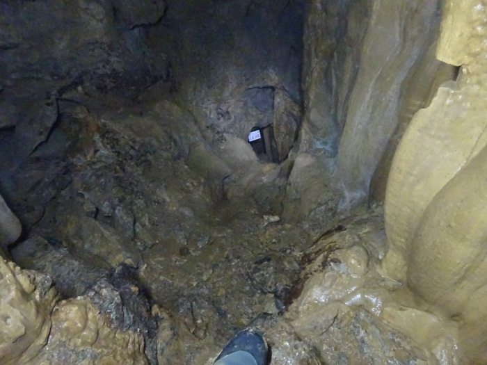 猿田洞（さるたどう）　ここは凄かった　高知県の洞窟探検_b0124306_23094938.jpg