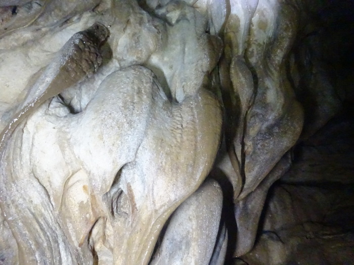 猿田洞（さるたどう）　ここは凄かった　高知県の洞窟探検_b0124306_23221003.jpg