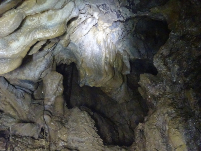 猿田洞（さるたどう）　ここは凄かった　高知県の洞窟探検_b0124306_23234536.jpg