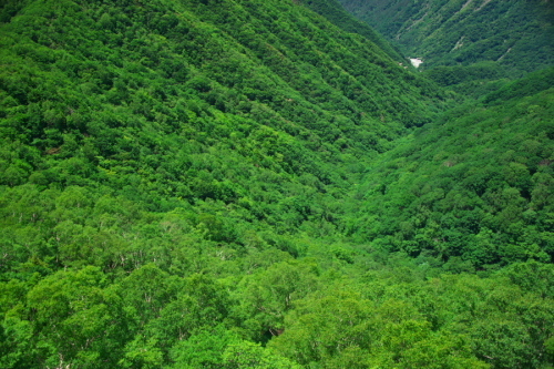 a0263109_18420232.jpg