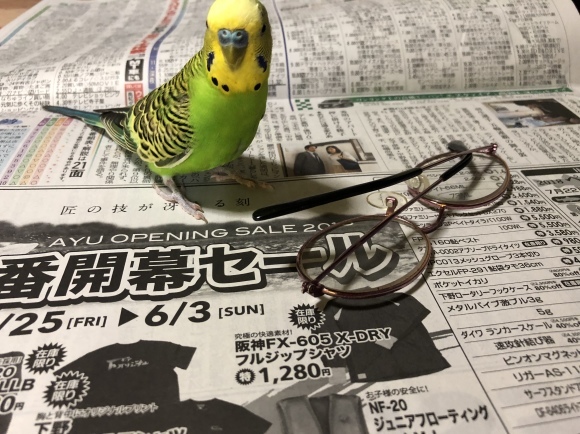 d0237309_22154948.jpeg